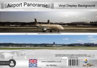 Airport Panoramic (1000x150mm)